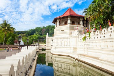 Visite de la ville de Kandy, du temple de la relique de la dent sacrée, de la plantation de thé et des danses culturelles